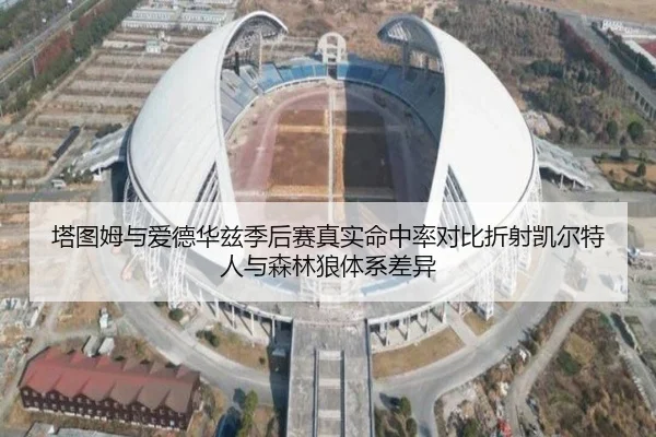塔图姆与爱德华兹季后赛真实命中率对比折射凯尔特人与森林狼体系差异