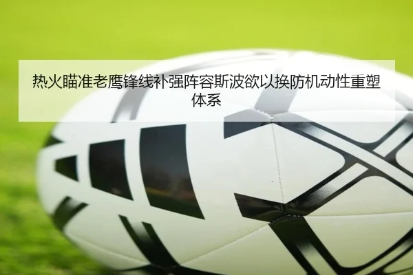 热火瞄准老鹰锋线补强阵容斯波欲以换防机动性重塑体系